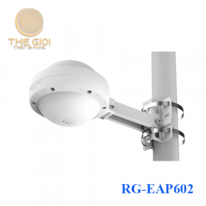 RG-EAP602