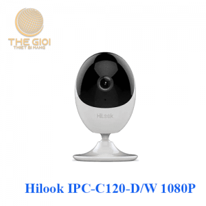 Camera IP Wifi Hilook IPC-C120-D/W 1080P
