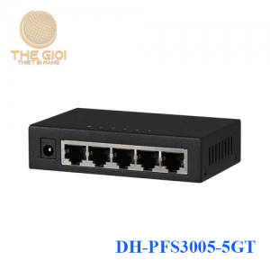 DH-PFS3005-5GT
