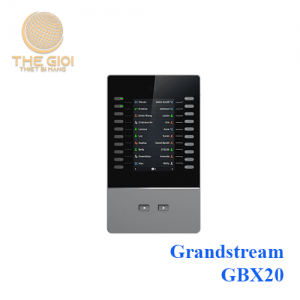 Grandstream GBX20