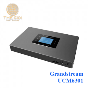 Grandstream UCM6301