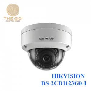 HIKVISION DS-2CD1123G0-I
