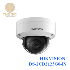 HIKVISION DS-2CD2123G0-IS