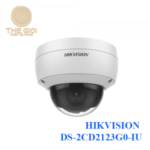 HIKVISION DS-2CD2123G0-IU