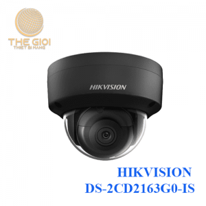 HIKVISION DS-2CD2163G0-IS