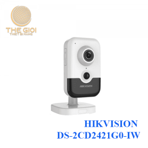 HIKVISION DS-2CD2421G0-IW