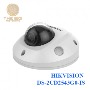 HIKVISION DS-2CD2543G0-IS