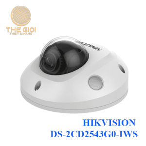 HIKVISION DS-2CD2543G0-IWS