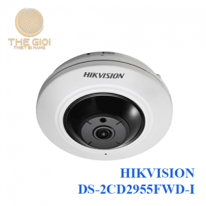 HIKVISION DS-2CD2955FWD-I