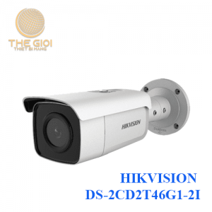 HIKVISION DS-2CD2T46G1-2I